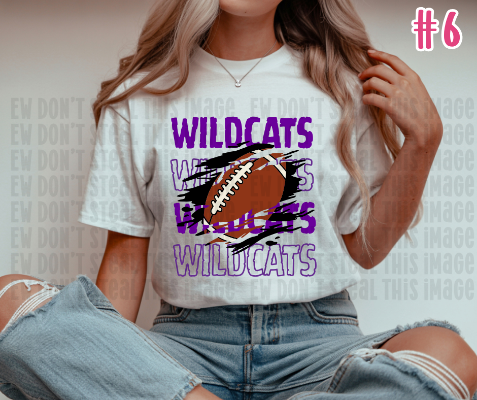 Wildcat Football DTF Transfers