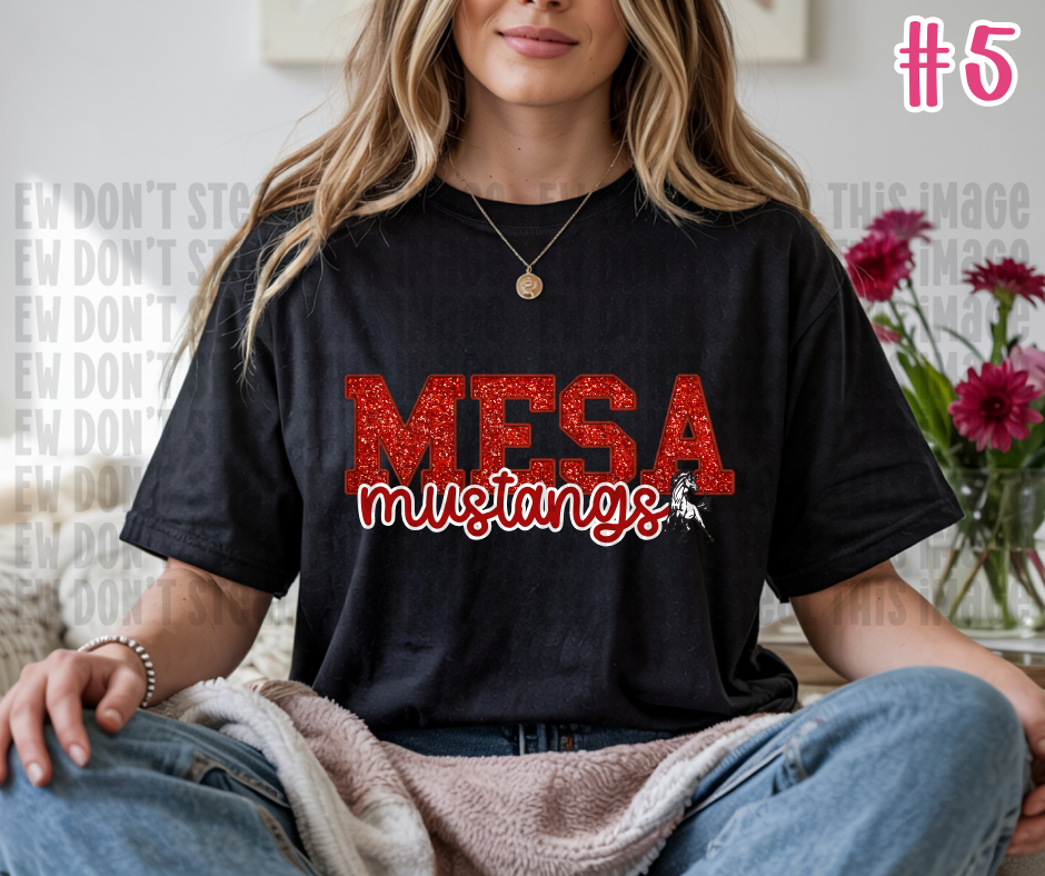 Mesa Shirt/Sweatshirts