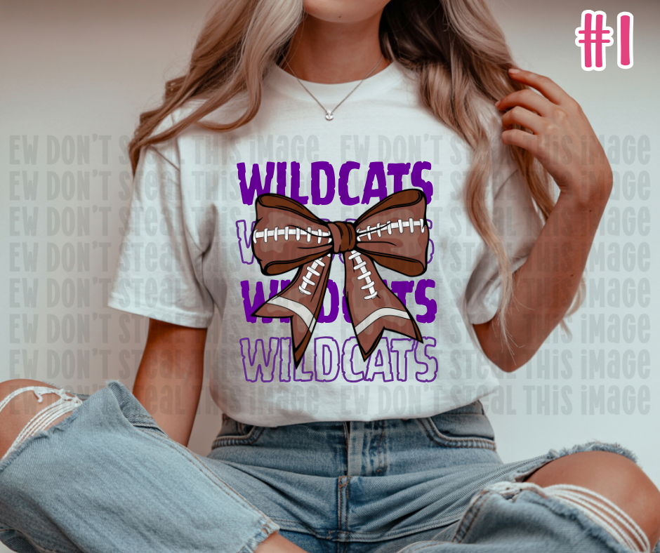 Wildcat Football DTF Transfers