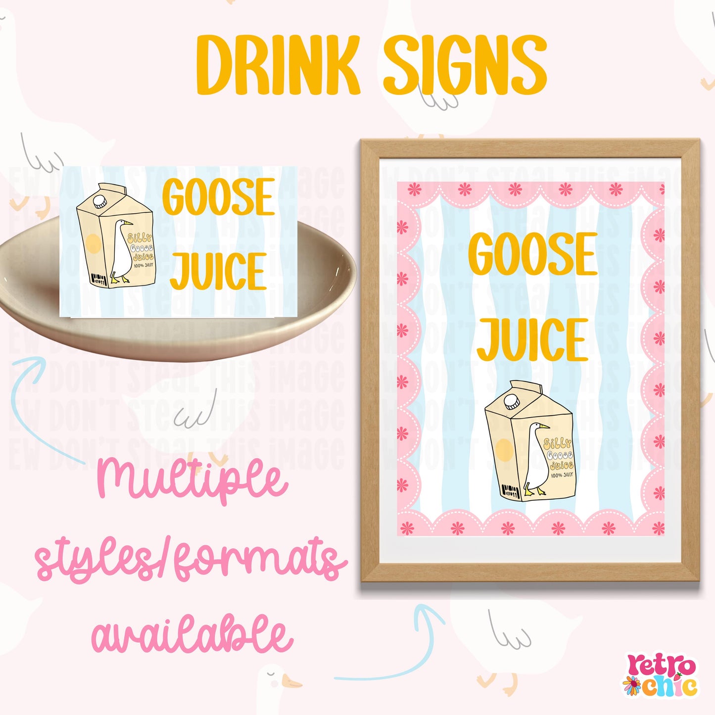Silly Goose Birthday Invitation Canva Template Bundle (Digital Download)