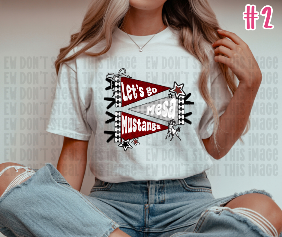 Mesa Shirt/Sweatshirts